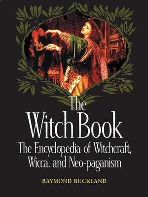 cover image of The Witch Book